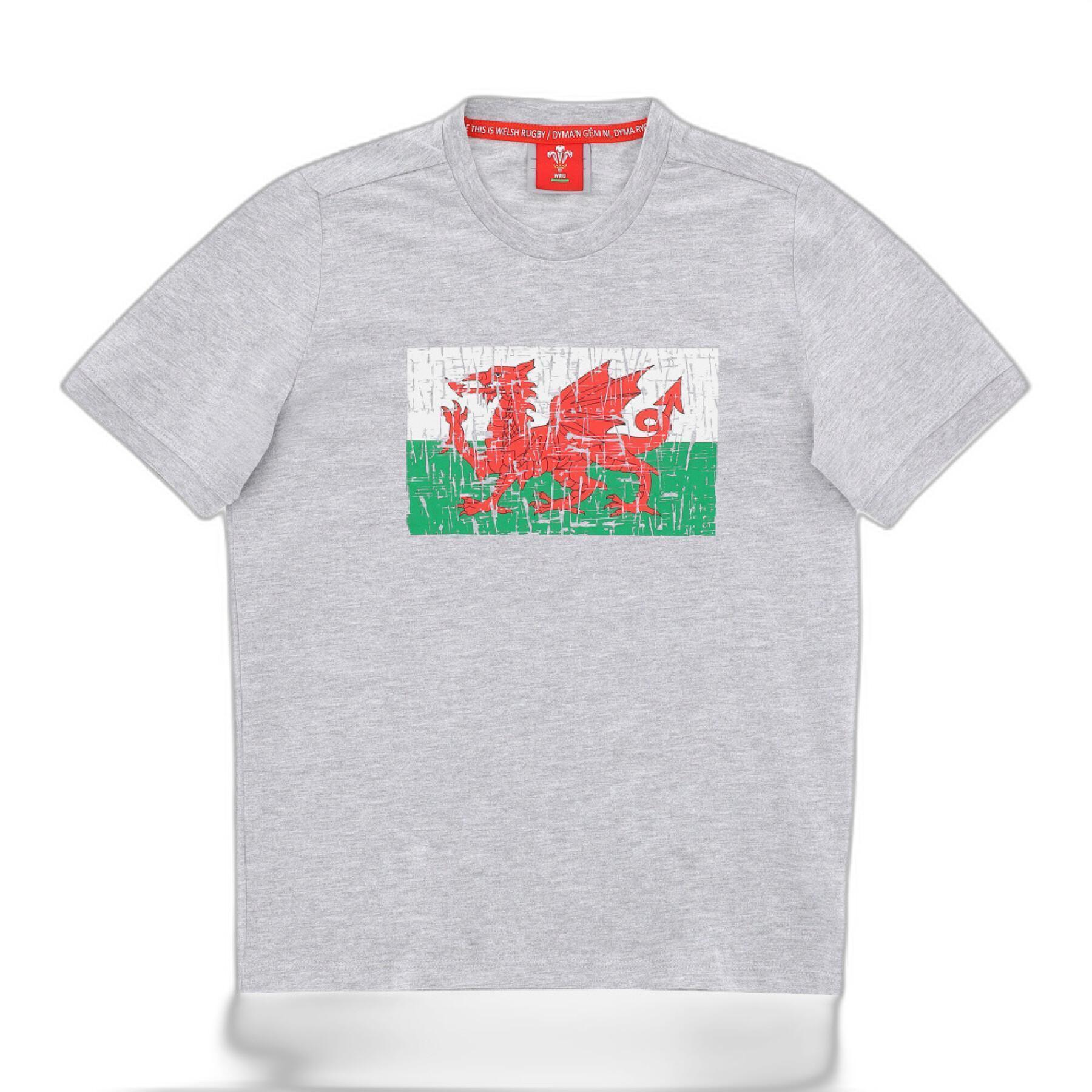 T-shirt enfant Pays de Galles Rugby XV 2020/21