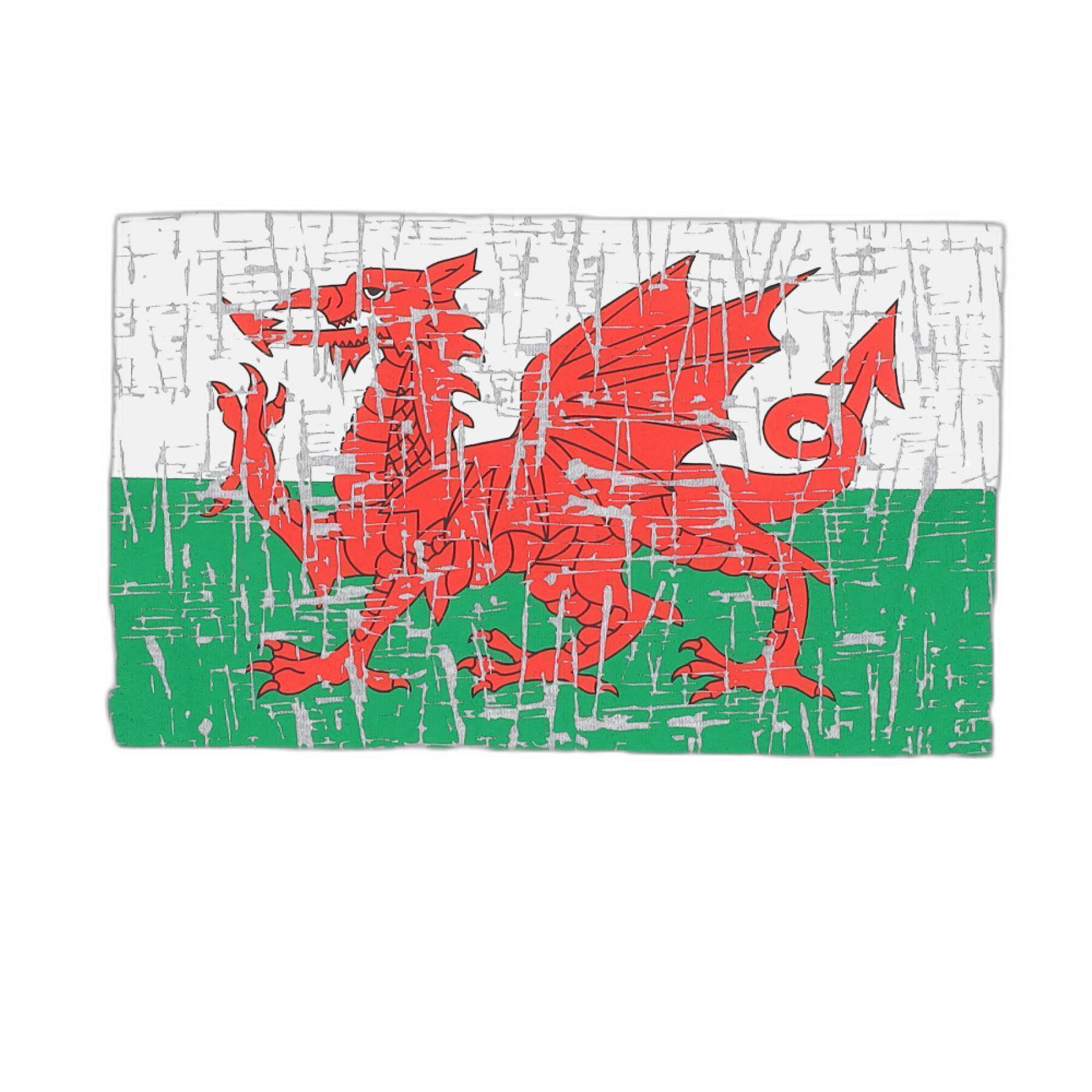 T-shirt enfant Pays de Galles Rugby XV 2020/21