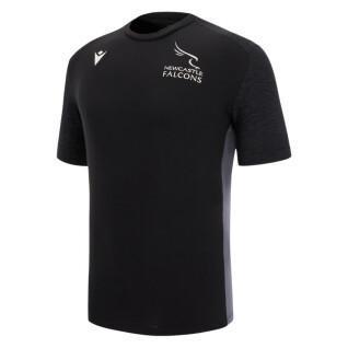 T-shirt coton Newcastle Falcons 2022/23