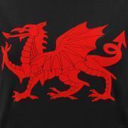 T-shirt femme Pays de Galles Rugby XV 2020/21
